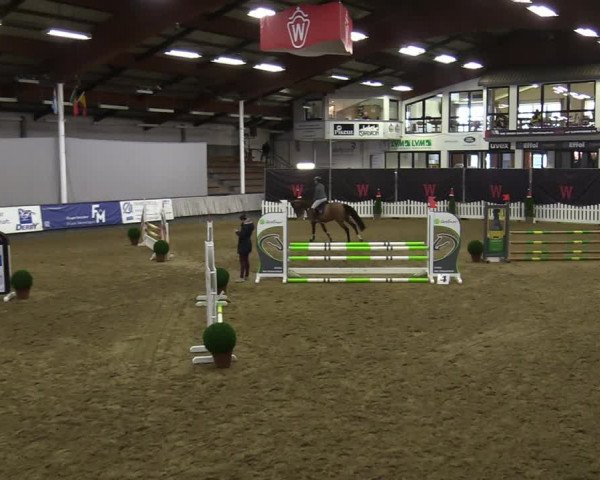 Reitturnier Münster-Handorf 2021