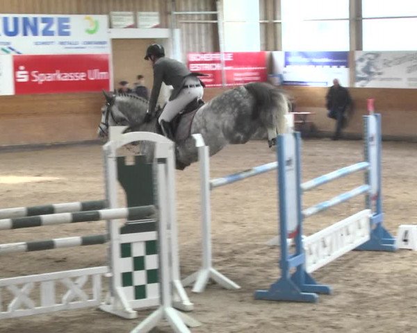 Reitturnier Langenau 2017 - Late Entry nur Springen