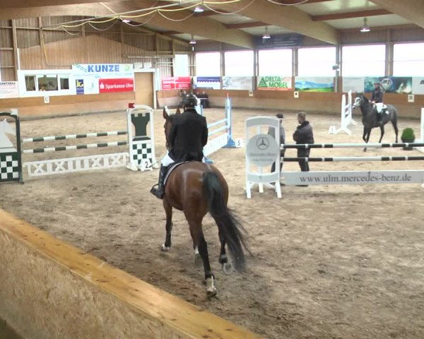 Reitturnier Langenau 2017 - Late Entry nur Springen