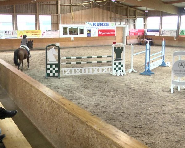 Reitturnier Langenau 2017 - Late Entry nur Springen