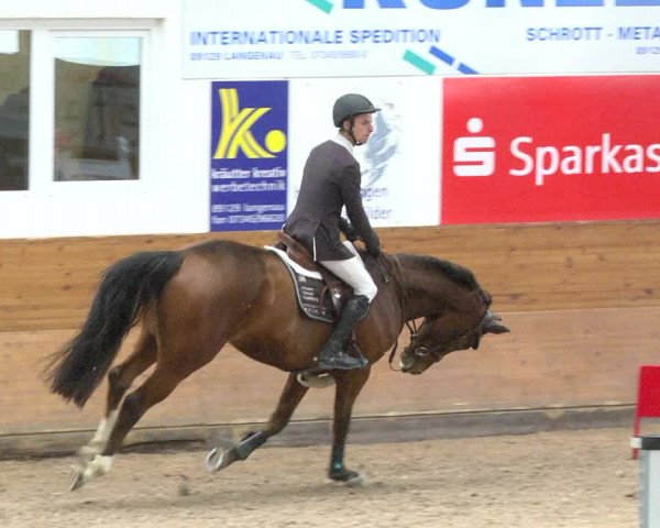 Reitturnier Langenau 2017 - Late Entry nur Springen