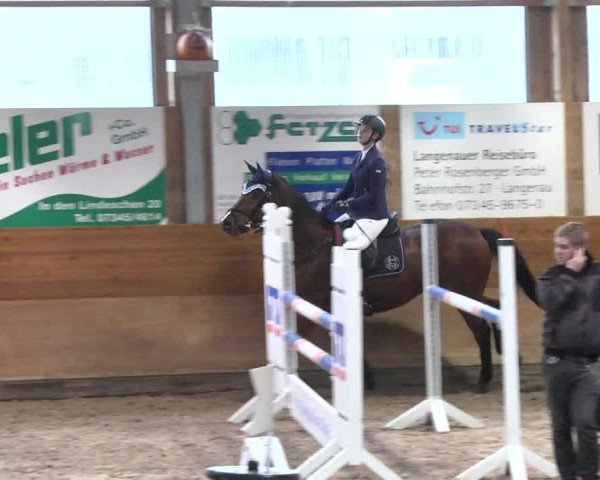 Reitturnier Langenau 2017 - Late Entry nur Springen
