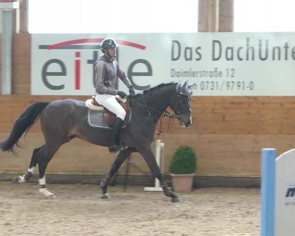 Reitturnier Langenau 2017 - Late Entry nur Springen