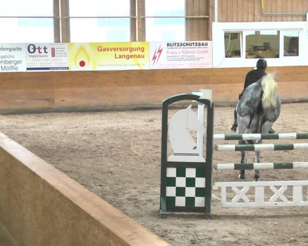 Reitturnier Langenau 2017 - Late Entry nur Springen