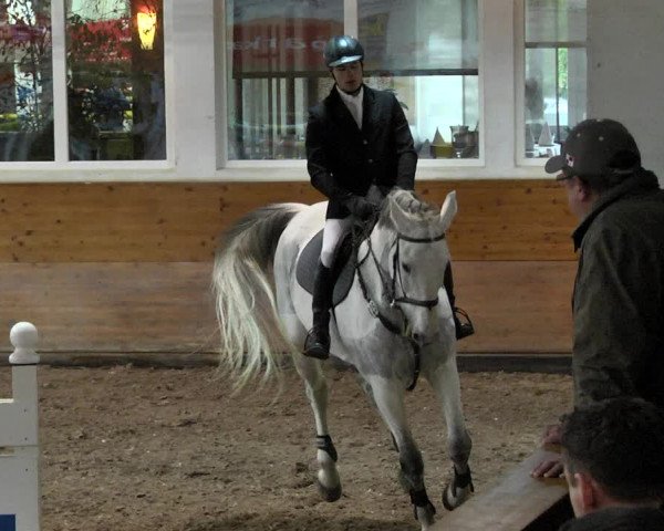 Reitturnier Langenau 2017 - Late Entry nur Springen