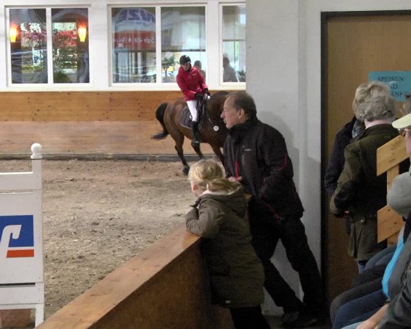 Reitturnier Langenau 2017 - Late Entry nur Springen
