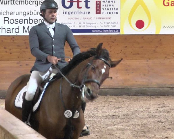 Reitturnier Langenau 2017 - Late Entry nur Springen