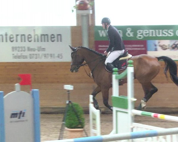 Reitturnier Langenau 2017 - Late Entry nur Springen