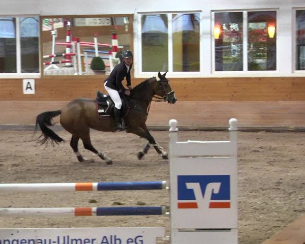 Reitturnier Langenau 2017 - Late Entry nur Springen