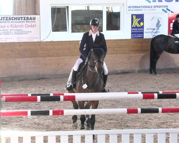 Reitturnier Langenau 2017 - Late Entry nur Springen