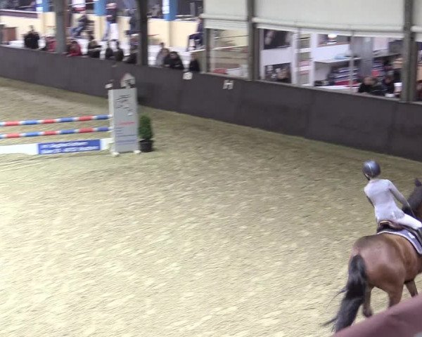 20. Legdener Ponymeeting 2017