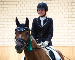 dressage horse Lambada (Hanoverian, 2013, from Lord Loxley I)