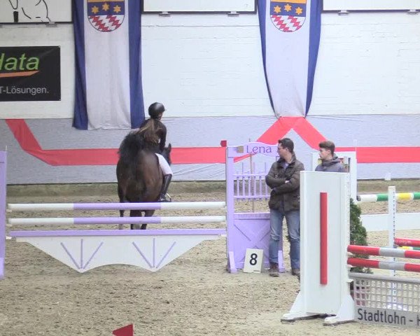 20. Legdener Ponymeeting 2017