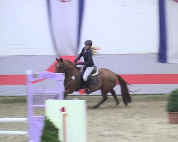 20. Legdener Ponymeeting 2017