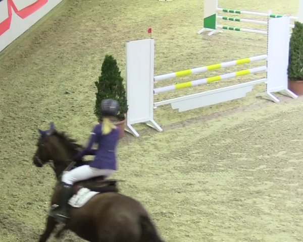 20. Legdener Ponymeeting 2017