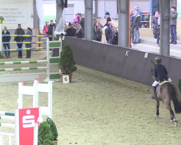 20. Legdener Ponymeeting 2017