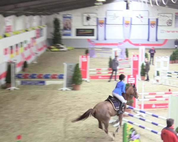 20. Legdener Ponymeeting 2017