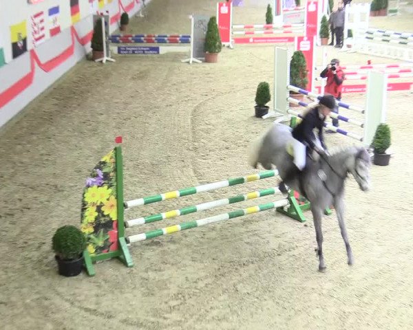 20. Legdener Ponymeeting 2017