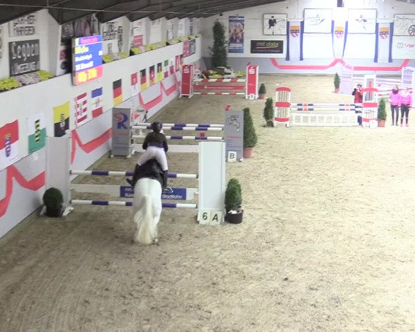 20. Legdener Ponymeeting 2017