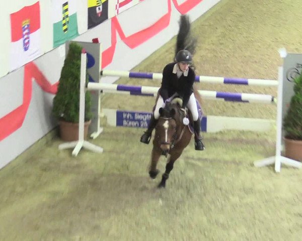 20. Legdener Ponymeeting 2017