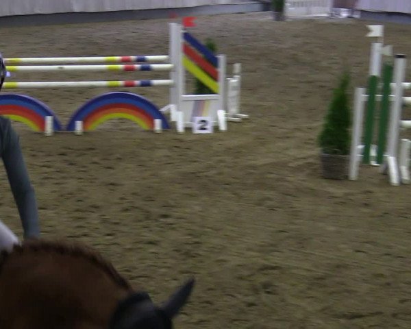 Reitturnier Münster-Handorf 2021