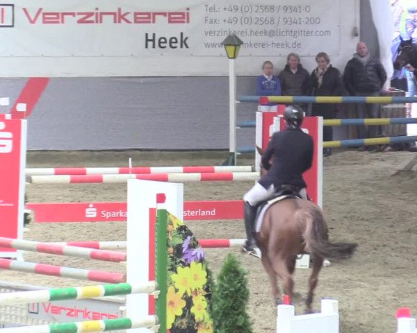 20. Legdener Ponymeeting 2017