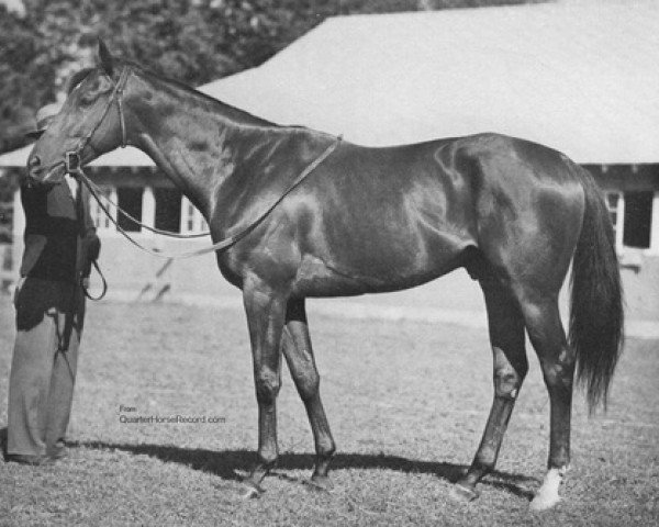 stallion Assault xx (Thoroughbred, 1943, from Bold Venture xx)