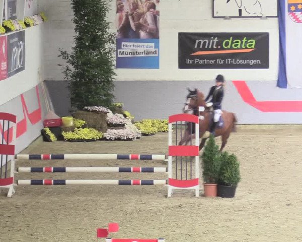 20. Legdener Ponymeeting 2017