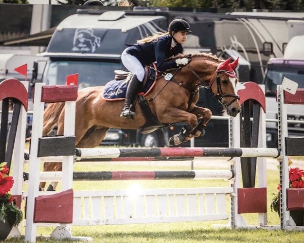 broodmare Fienchen 18 (German Riding Pony, 2005, from Freemann T.Porter)