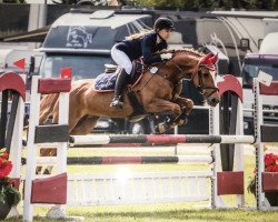 broodmare Fienchen 18 (German Riding Pony, 2005, from Freemann T.Porter)