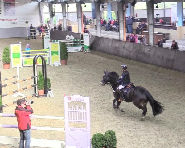 20. Legdener Ponymeeting 2017