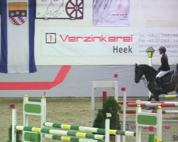 20. Legdener Ponymeeting 2017