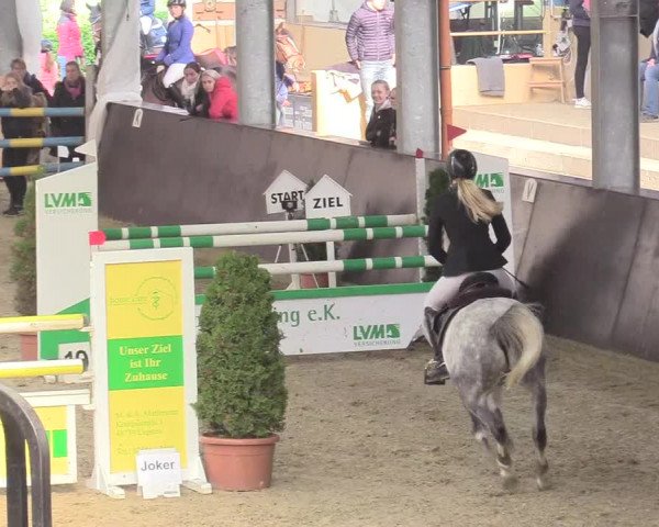 20. Legdener Ponymeeting 2017