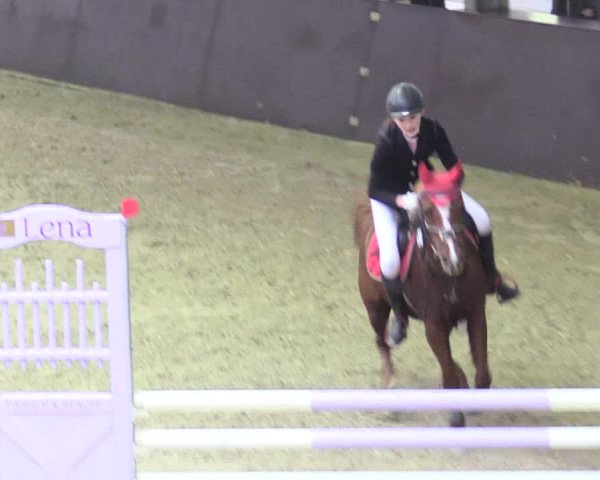 20. Legdener Ponymeeting 2017