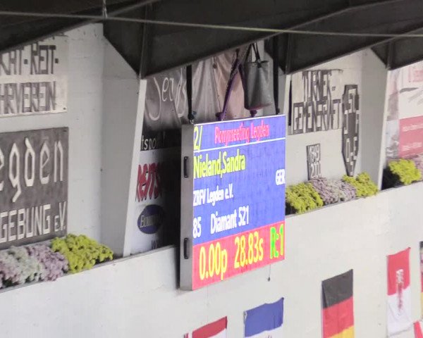 20. Legdener Ponymeeting 2017