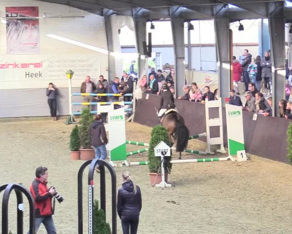 20. Legdener Ponymeeting 2017