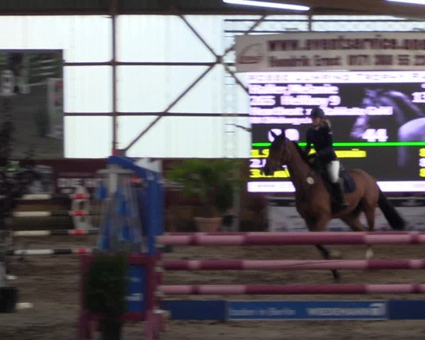 Große Jumping-Trophy Pausin 2021