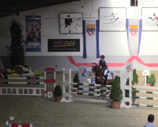 20. Legdener Ponymeeting 2017