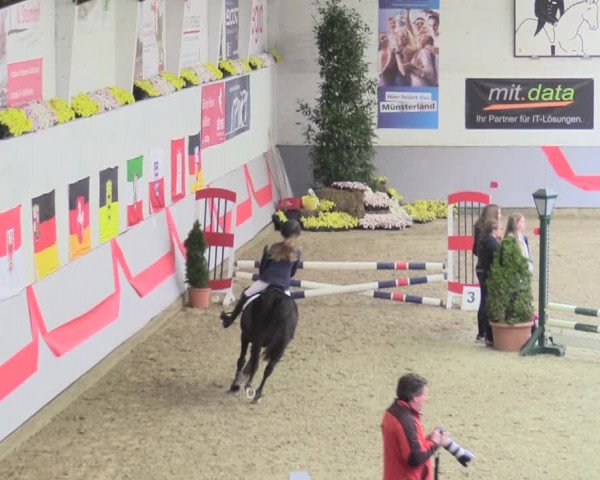 20. Legdener Ponymeeting 2017