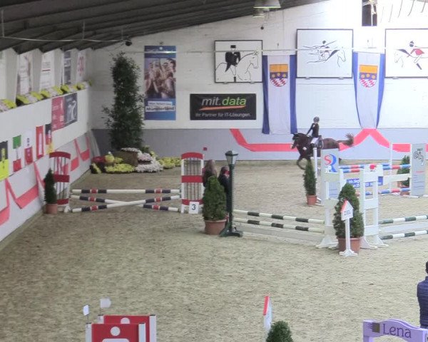 20. Legdener Ponymeeting 2017