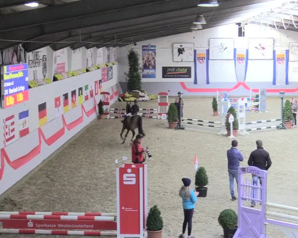 20. Legdener Ponymeeting 2017