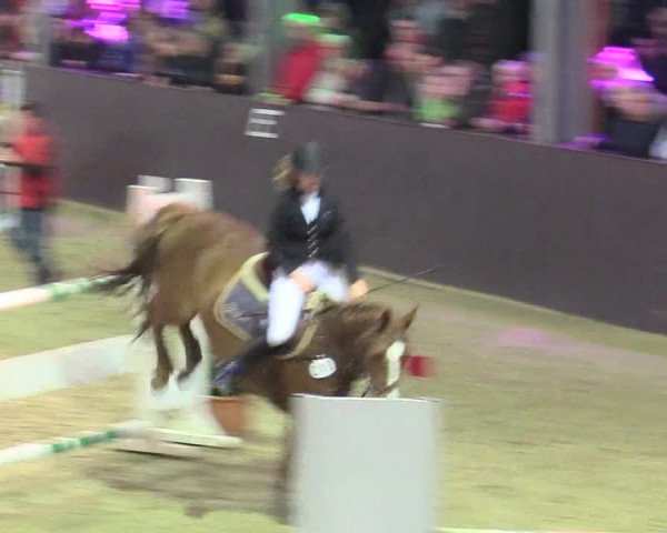 20. Legdener Ponymeeting 2017
