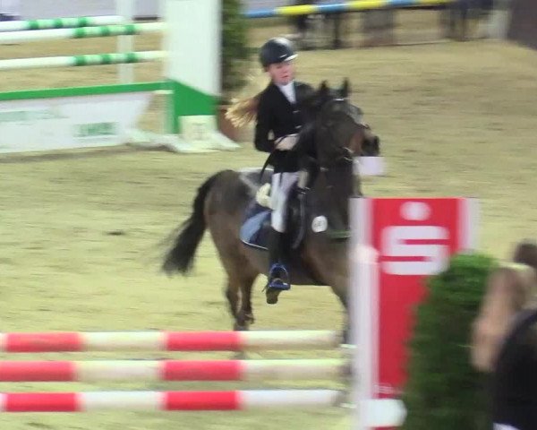 20. Legdener Ponymeeting 2017