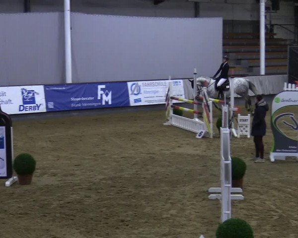Reitturnier Münster-Handorf 2021