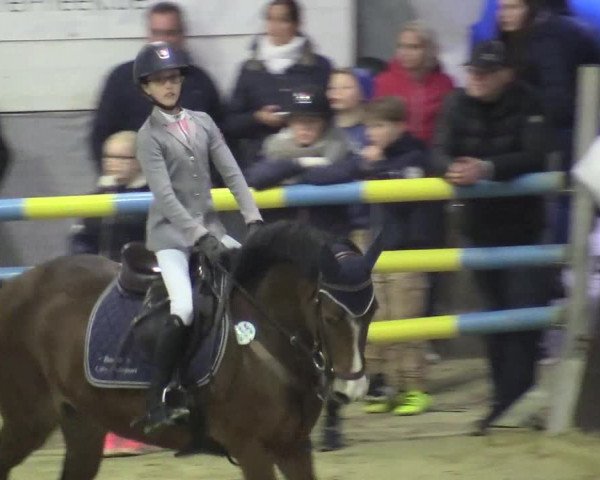20. Legdener Ponymeeting 2017