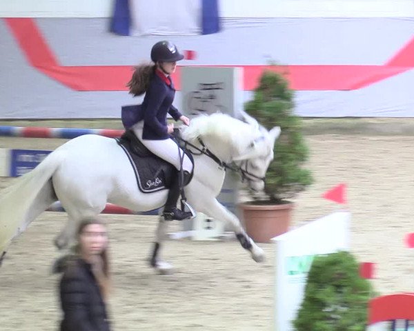 20. Legdener Ponymeeting 2017