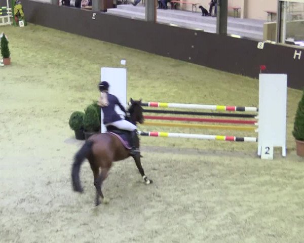 20. Legdener Ponymeeting 2017