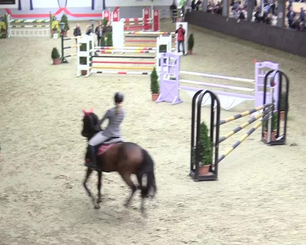20. Legdener Ponymeeting 2017