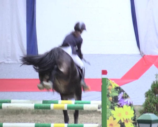 20. Legdener Ponymeeting 2017