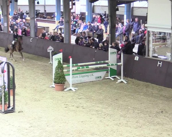20. Legdener Ponymeeting 2017